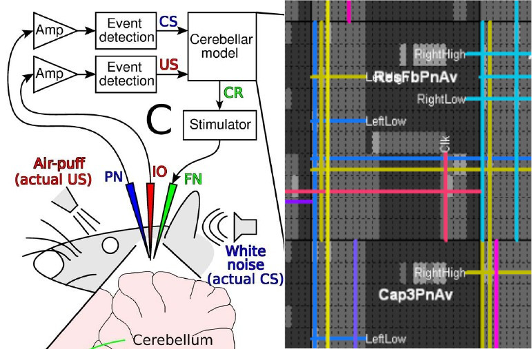 Closed-loop brain prosthesis and field-programmable mixed signal array
