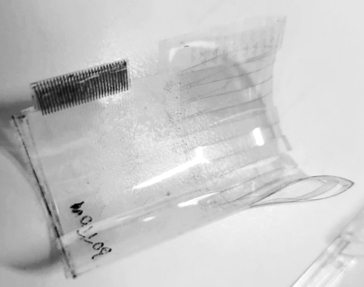 Software model of coiled fanned fingertip-like sensor.