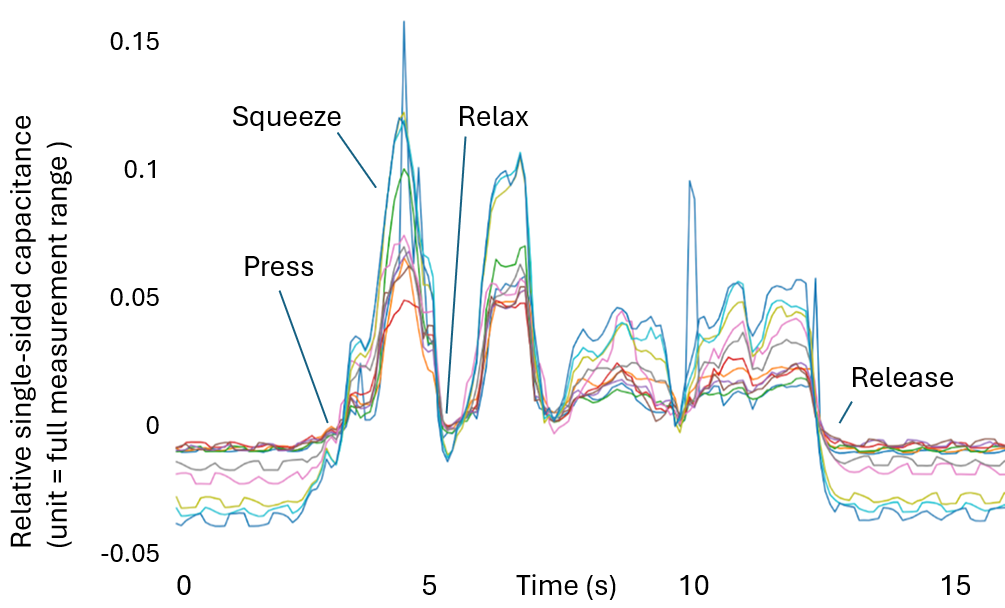 Software model of coiled fanned fingertip-like sensor.
