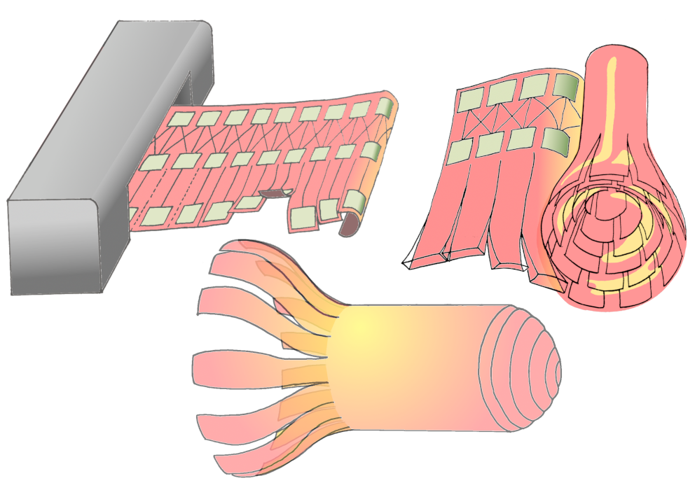 Concept sketch for coiled robots