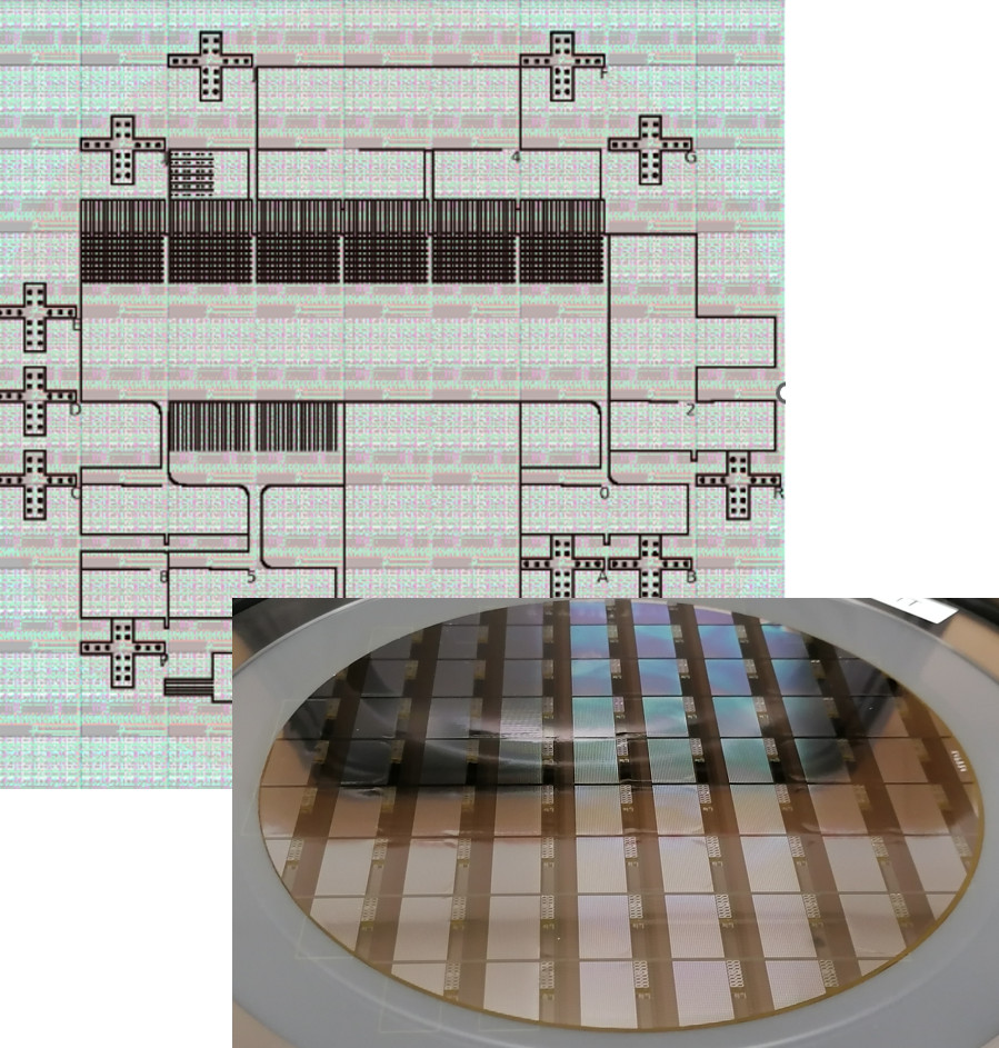Software model of coiled fanned fingertip-like sensor.